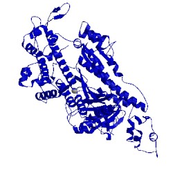 Image of CATH 5m05