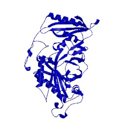 Image of CATH 5mgu