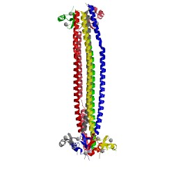 Image of CATH 5mq4
