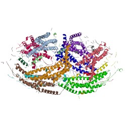 Image of CATH 5mx5