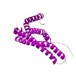 Image of CATH 5mx5G