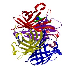 Image of CATH 5n8b