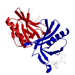 Image of CATH 5ncf