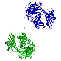 Image of CATH 5njf