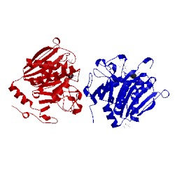 Image of CATH 5nrd