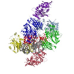 Image of CATH 5okn