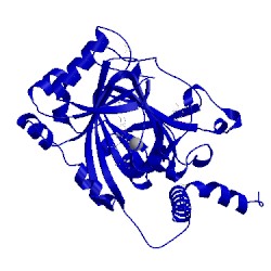 Image of CATH 5op8