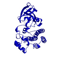 Image of CATH 5p9h