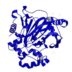 Image of CATH 5pkl