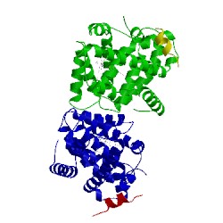 Image of CATH 5q14