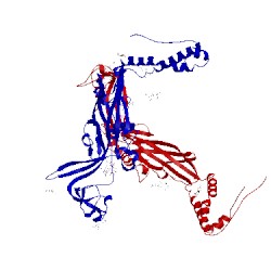 Image of CATH 5svk