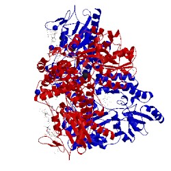 Image of CATH 5t0a