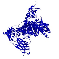 Image of CATH 5t8f