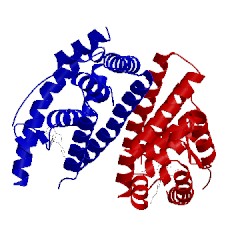 Image of CATH 5t92