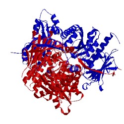 Image of CATH 5tvx