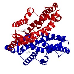 Image of CATH 5ufr