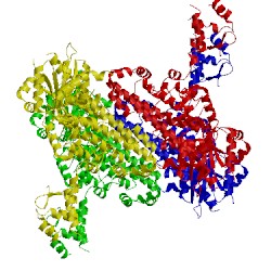 Image of CATH 5uj8