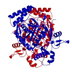 Image of CATH 5uo2