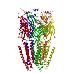 Image of CATH 5vdh