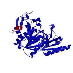 Image of CATH 5vll