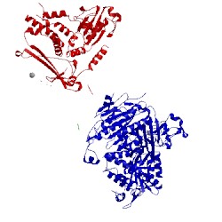 Image of CATH 5vnn