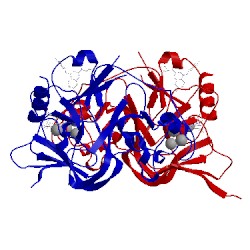 Image of CATH 5vse