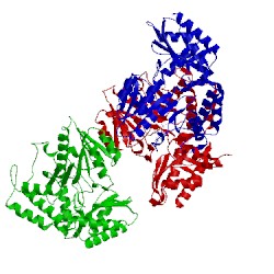 Image of CATH 5vwo