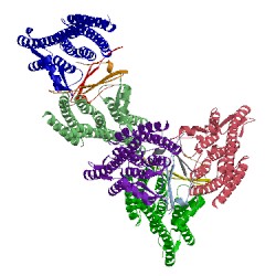 Image of CATH 5vxj