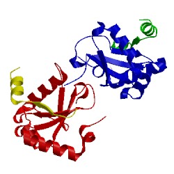 Image of CATH 5wrd