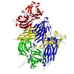 Image of CATH 5wtb