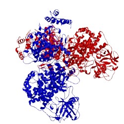 Image of CATH 5xa0