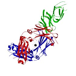 Image of CATH 5xjf