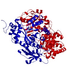 Image of CATH 9rub